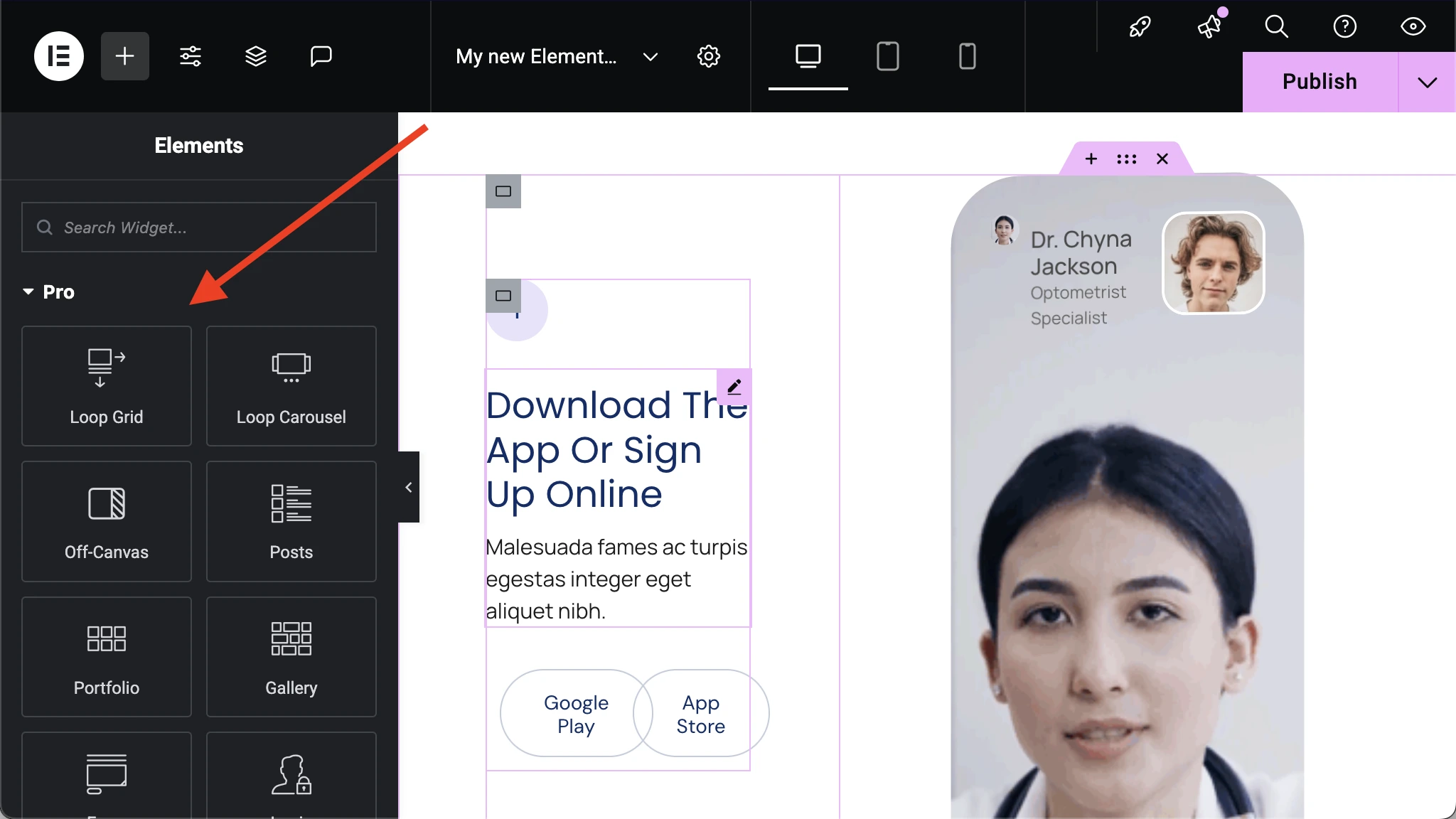 Elementor Widget'ları